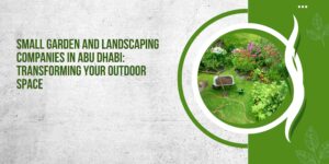Small Garden and Landscaping Companies in Abu Dhabi: Transforming Your Outdoor Space