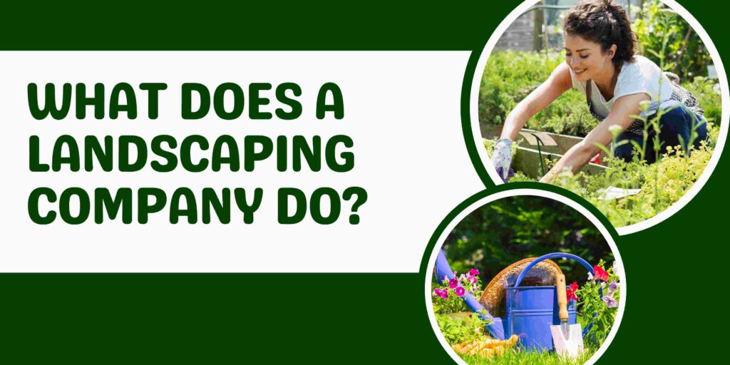 What Does a Landscaping Company Do?