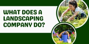 What Does a Landscaping Company Do?
