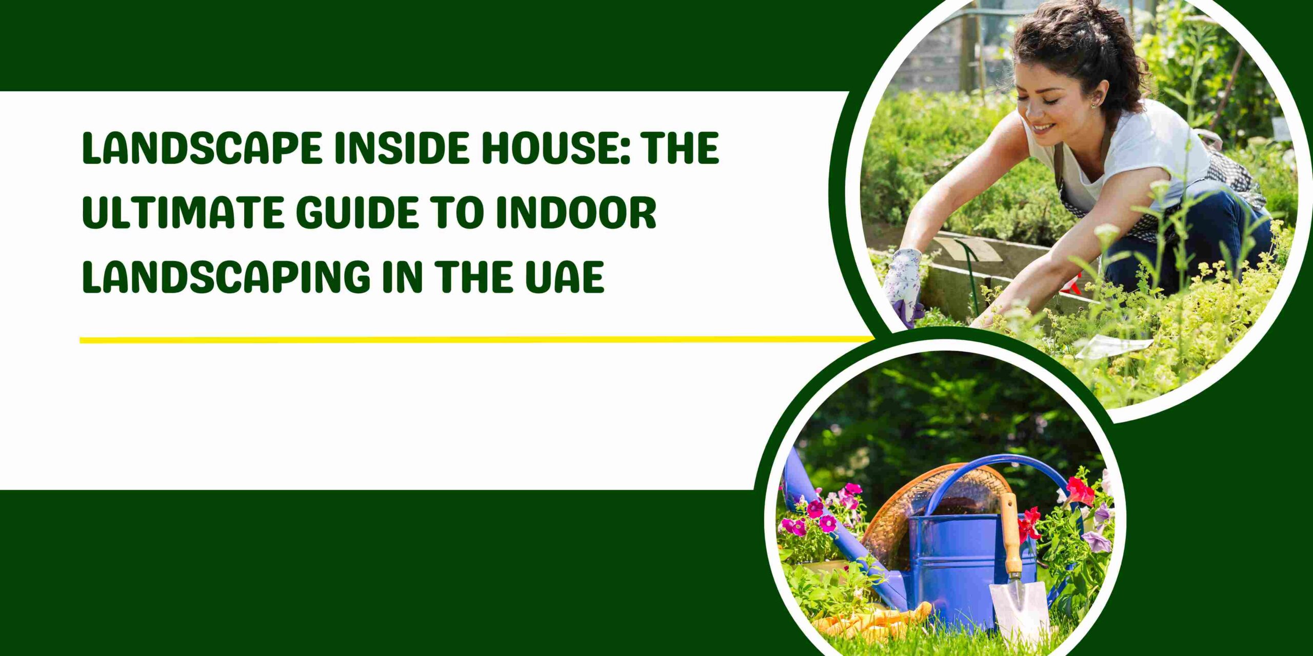 Landscape Inside House: The Ultimate Guide to Indoor Landscaping in the UAE