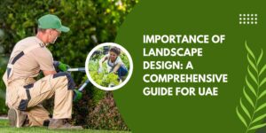 Importance of Landscape Design: A Comprehensive Guide for UAE