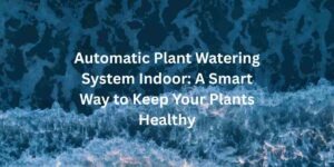 Automatic Plant Watering System Indoor: A Smart Way to Keep Your Plants Healthy