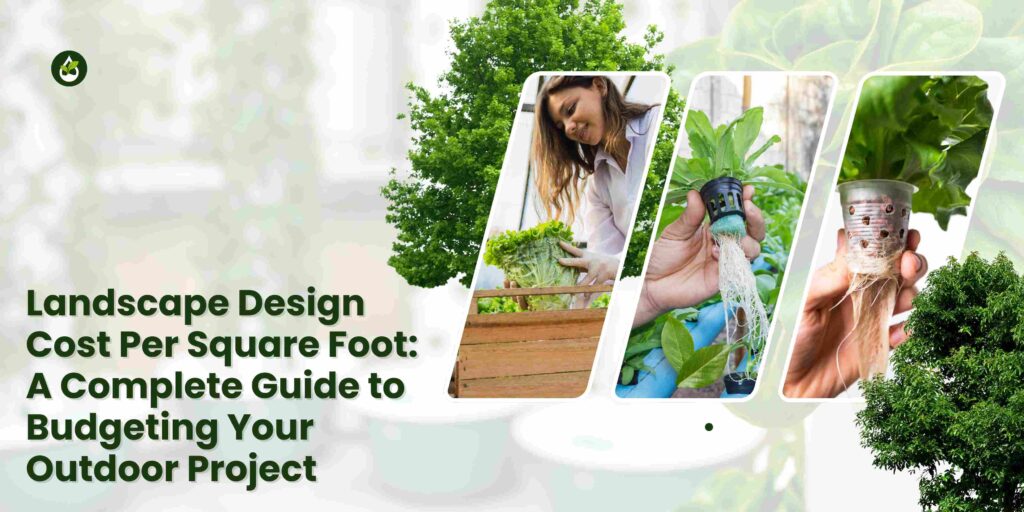 Landscape Design Cost Per Square Foot: A Complete Guide to Budgeting Your Outdoor Project