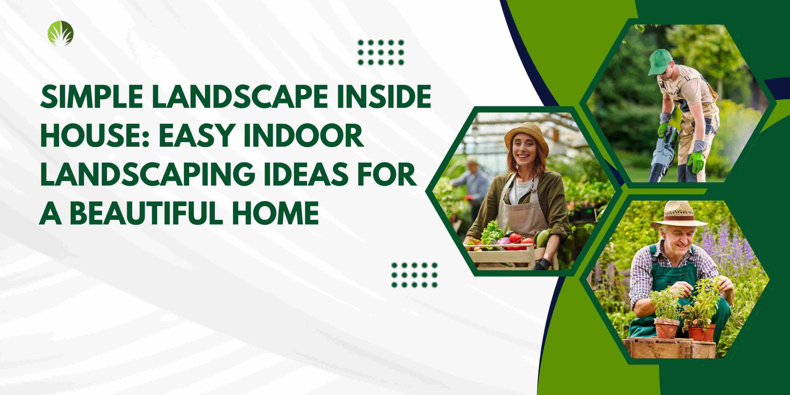 Simple Landscape Inside House: Easy Indoor Landscaping Ideas for a Beautiful Home